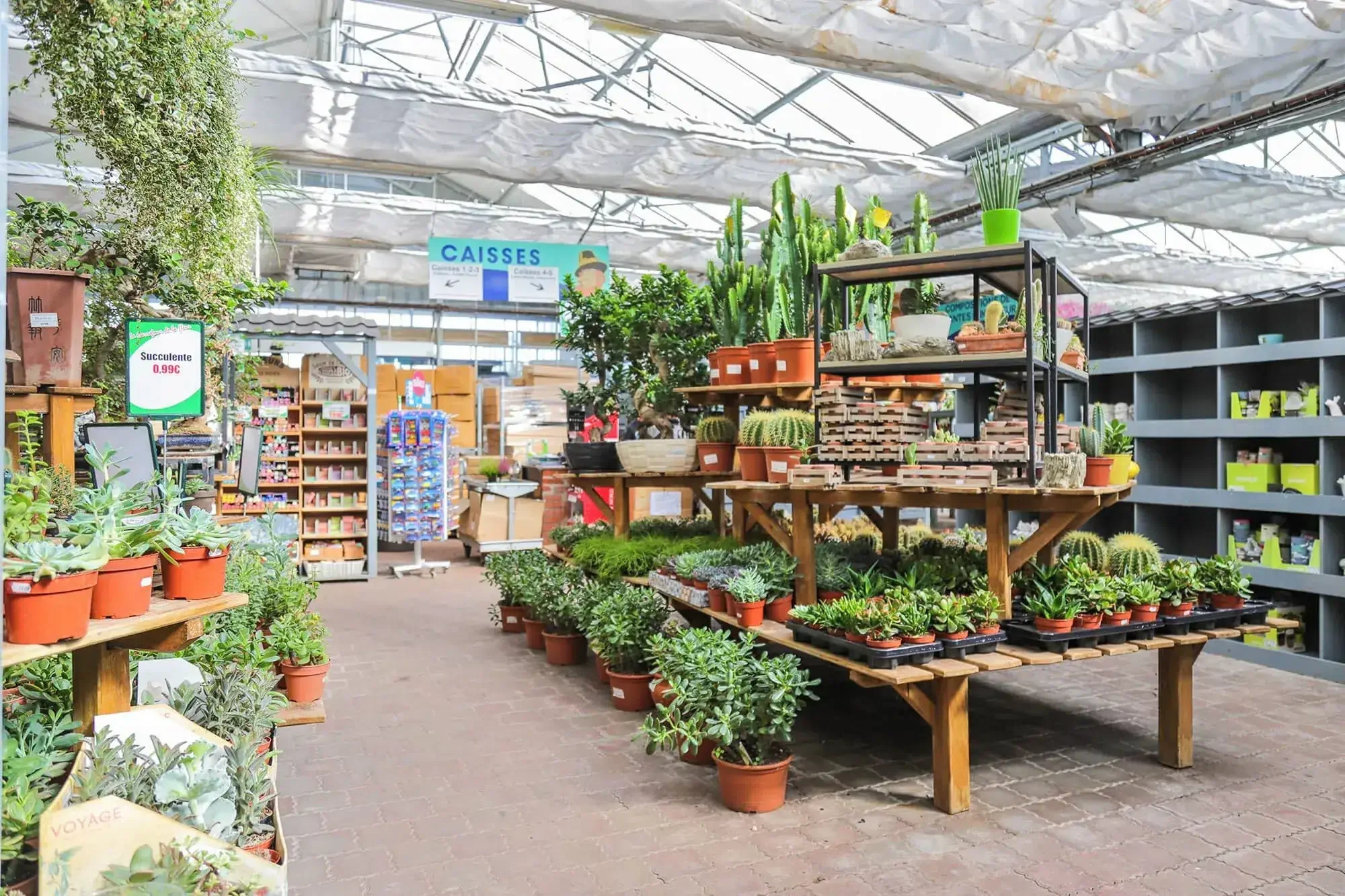 Graines & Jardins Chez Mesté